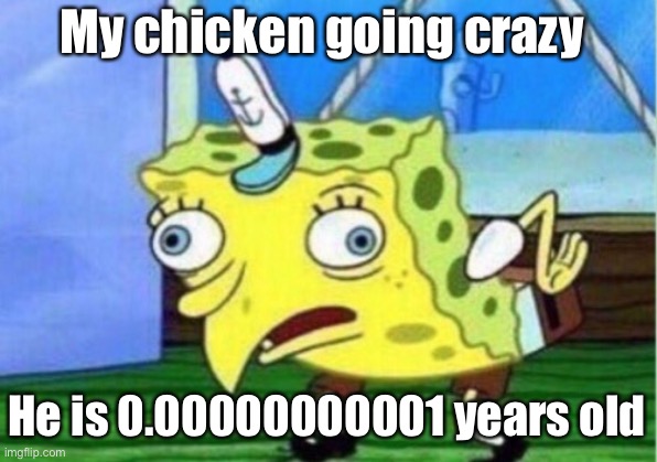 Mocking Spongebob | My chicken going crazy; He is 0.00000000001 years old | image tagged in memes,mocking spongebob | made w/ Imgflip meme maker