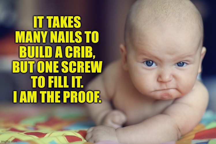 Baby | IT TAKES MANY NAILS TO BUILD A CRIB, BUT ONE SCREW TO FILL IT. I AM THE PROOF. | image tagged in new baby,crib,one screw,fills it | made w/ Imgflip meme maker