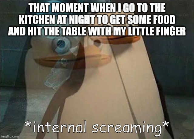 Private Internal Screaming | THAT MOMENT WHEN I GO TO THE KITCHEN AT NIGHT TO GET SOME FOOD AND HIT THE TABLE WITH MY LITTLE FINGER | image tagged in private internal screaming | made w/ Imgflip meme maker