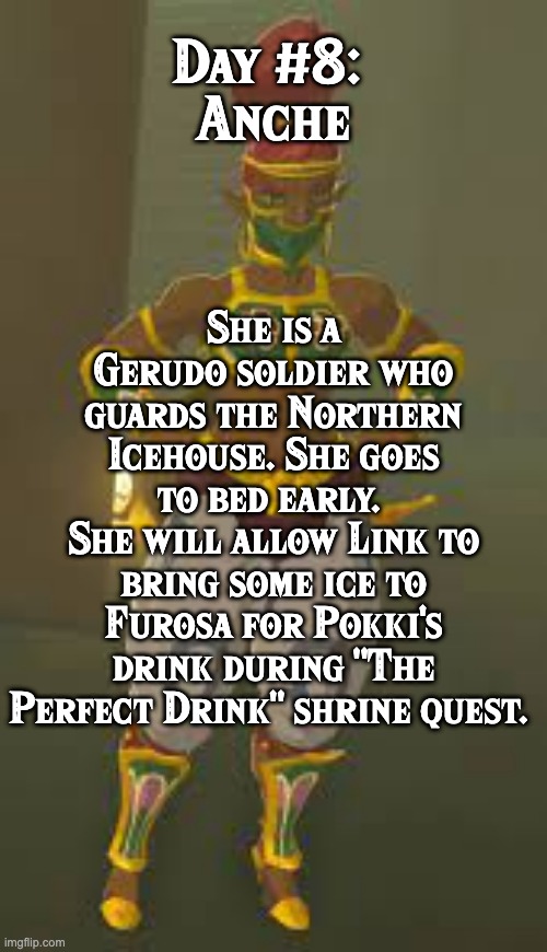 BoTW NPCs until BoTW 2. Day #8: Anche. | Day #8: 
Anche; She is a Gerudo soldier who guards the Northern Icehouse. She goes to bed early. 
She will allow Link to bring some ice to Furosa for Pokki's drink during "The Perfect Drink" shrine quest. | image tagged in one npc every day,the legend of zelda breath of the wild | made w/ Imgflip meme maker