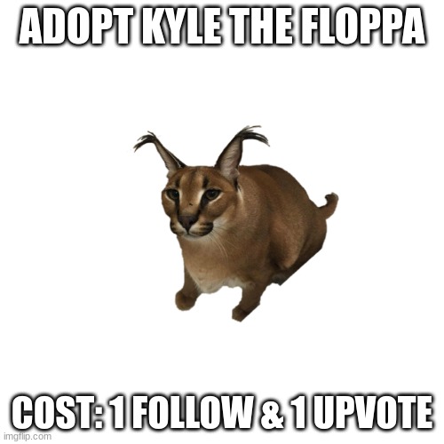 Adopt Kyle The Floppa ( I Have Unlimited Floppas) | ADOPT KYLE THE FLOPPA; COST: 1 FOLLOW & 1 UPVOTE | image tagged in memes,blank transparent square,floppa,kyle,adoption,follow and upvote | made w/ Imgflip meme maker