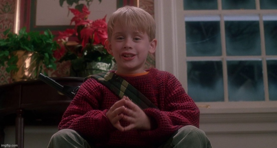 Home Alone | image tagged in home alone | made w/ Imgflip meme maker