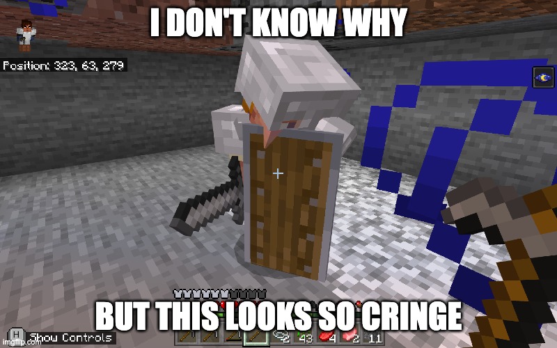 cringe meme | I DON'T KNOW WHY; BUT THIS LOOKS SO CRINGE | image tagged in minecraft,sus,cringe,memes,funny memes,funny | made w/ Imgflip meme maker