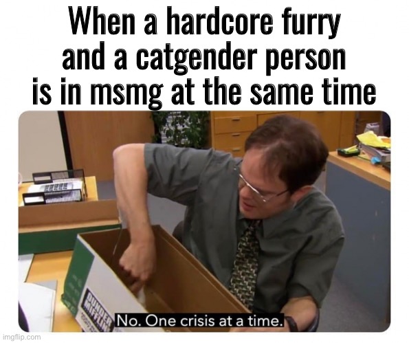 One Crisis at a Time | When a hardcore furry and a catgender person is in msmg at the same time | image tagged in one crisis at a time | made w/ Imgflip meme maker