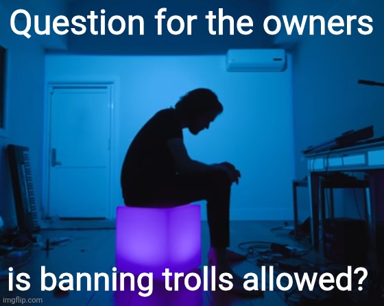 Question for the owners; is banning trolls allowed? | image tagged in bo burnham five years | made w/ Imgflip meme maker