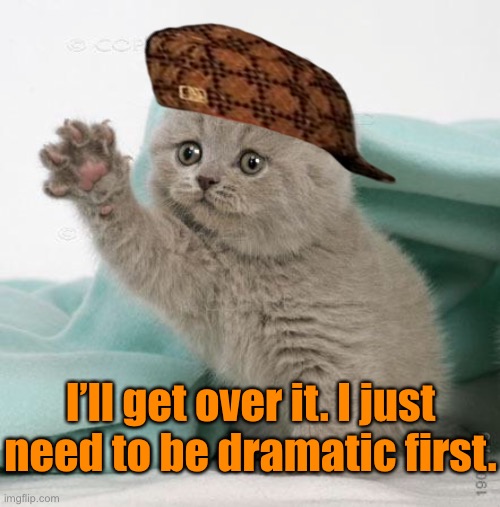 Kitten | I’ll get over it. I just need to be dramatic first. | image tagged in sad kitten,get over it,dramatic,wave,cat | made w/ Imgflip meme maker