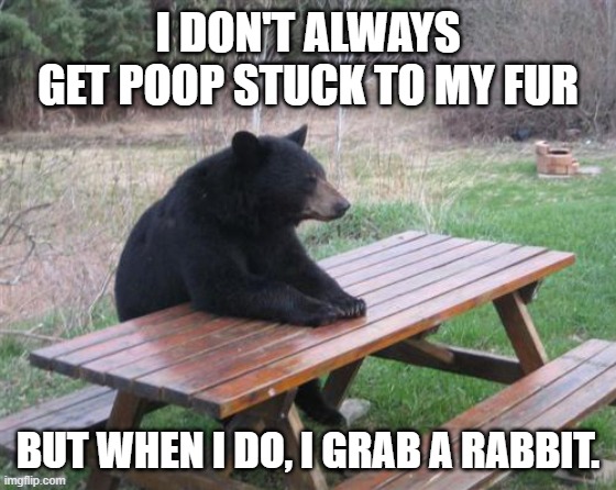 Bad Luck Bear Meme | I DON'T ALWAYS GET POOP STUCK TO MY FUR BUT WHEN I DO, I GRAB A RABBIT. | image tagged in memes,bad luck bear | made w/ Imgflip meme maker