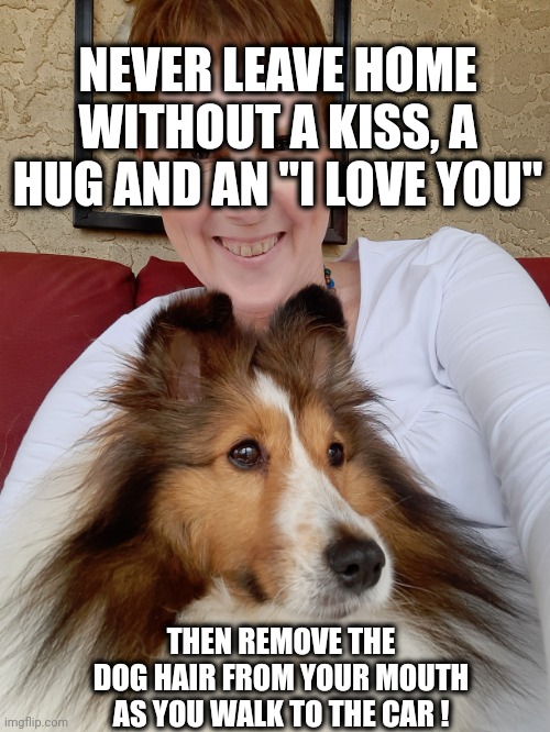 Never leave home without a kiss | NEVER LEAVE HOME WITHOUT A KISS, A HUG AND AN "I LOVE YOU"; THEN REMOVE THE DOG HAIR FROM YOUR MOUTH AS YOU WALK TO THE CAR ! | image tagged in sheltie,leave home,kiss,love | made w/ Imgflip meme maker