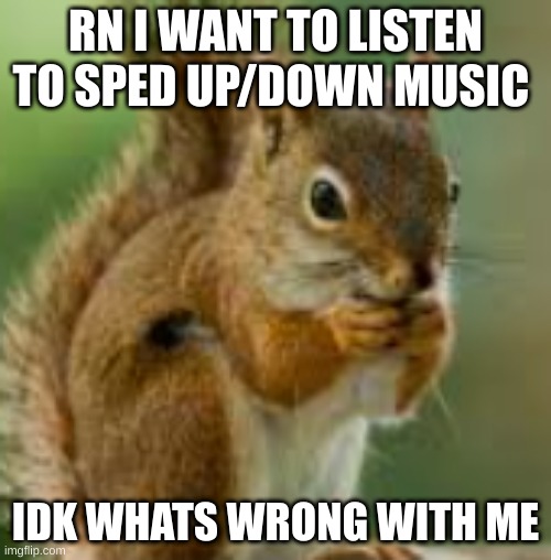 kdn;jkefje | RN I WANT TO LISTEN TO SPED UP/DOWN MUSIC; IDK WHATS WRONG WITH ME | image tagged in kdn jkefje | made w/ Imgflip meme maker