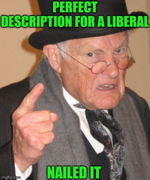 PERFECT DESCRIPTION FOR A LIBERAL NAILED IT | made w/ Imgflip meme maker