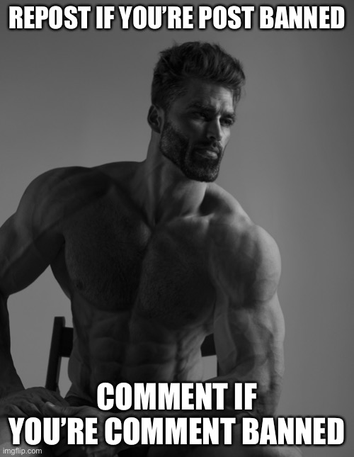 Might try this when the time comes | REPOST IF YOU’RE POST BANNED; COMMENT IF YOU’RE COMMENT BANNED | image tagged in giga chad | made w/ Imgflip meme maker