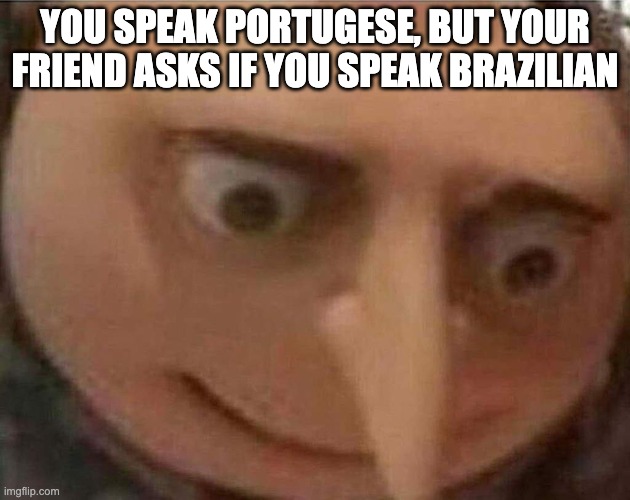 the most destructive moment of your life | YOU SPEAK PORTUGESE, BUT YOUR FRIEND ASKS IF YOU SPEAK BRAZILIAN | image tagged in gru meme,uh oh gru,brazilian,portugal,gru face | made w/ Imgflip meme maker