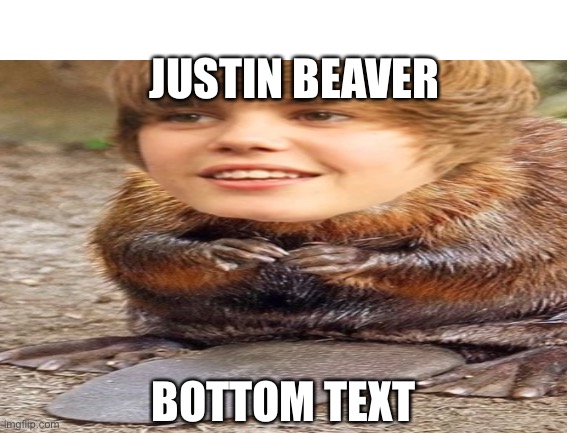 JUSTIN BEAVER BOTTOM TEXT | made w/ Imgflip meme maker