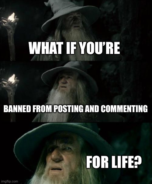 Confused Gandalf | WHAT IF YOU’RE; BANNED FROM POSTING AND COMMENTING; FOR LIFE? | image tagged in memes,confused gandalf | made w/ Imgflip meme maker