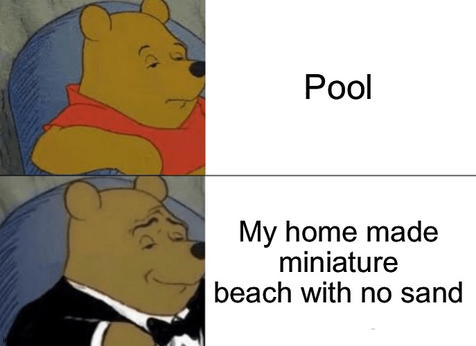 fancy pool | Pool; My home made miniature beach with no sand | image tagged in memes,tuxedo winnie the pooh,pool,winnie the pooh,so true | made w/ Imgflip meme maker