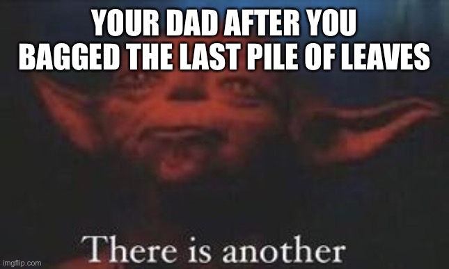 Unlimited Yard Work Ahead |  YOUR DAD AFTER YOU BAGGED THE LAST PILE OF LEAVES | image tagged in yoda there is another,relatable,dad,stop reading the tags,summer | made w/ Imgflip meme maker