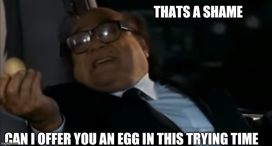 Can I Offer you an egg in these trying times | THATS A SHAME CAN I OFFER YOU AN EGG IN THIS TRYING TIME | image tagged in can i offer you an egg in these trying times | made w/ Imgflip meme maker