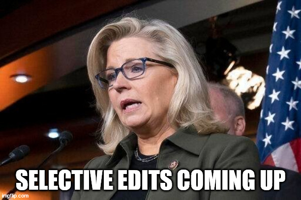 They're running out of time...  The majority of Amercians don't believe their lies... | SELECTIVE EDITS COMING UP | image tagged in liz cheney,government corruption | made w/ Imgflip meme maker