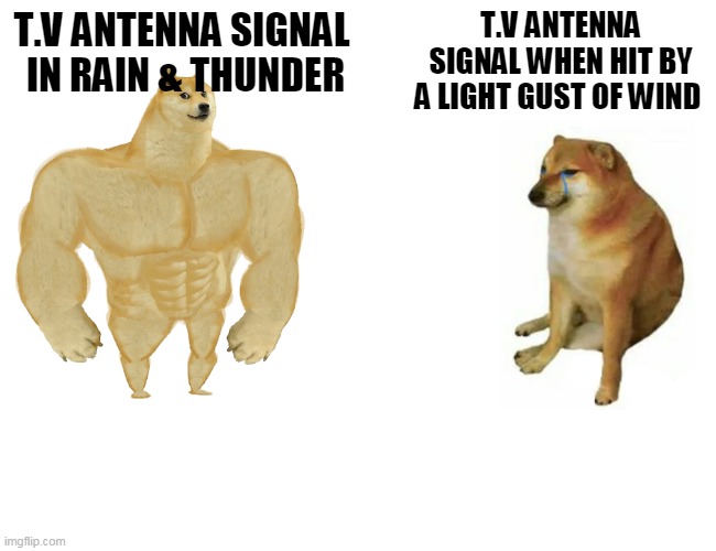 TV Antennas be like. | T.V ANTENNA SIGNAL  IN RAIN & THUNDER; T.V ANTENNA SIGNAL WHEN HIT BY A LIGHT GUST OF WIND | image tagged in memes,buff doge vs cheems,tv,antenna,signal | made w/ Imgflip meme maker