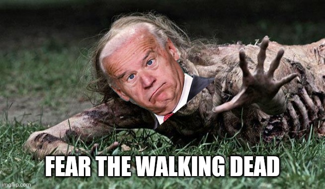 Zombie President | FEAR THE WALKING DEAD | image tagged in biden,walking dead | made w/ Imgflip meme maker