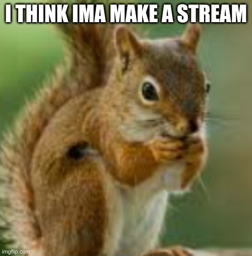 i should try everything once | I THINK IMA MAKE A STREAM | image tagged in kdn jkefje | made w/ Imgflip meme maker