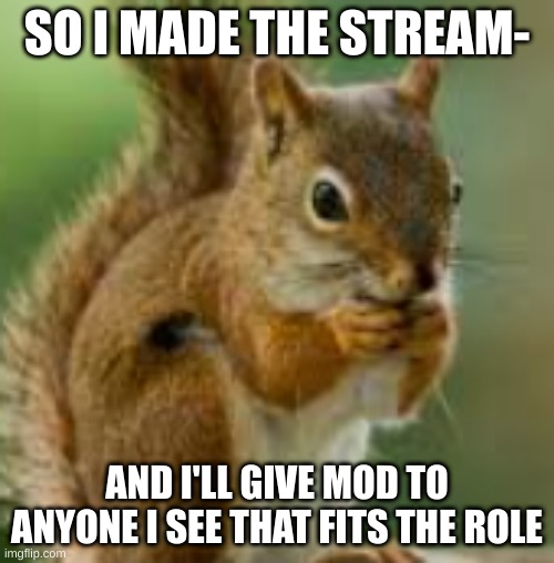https://imgflip.com/m/SpicyMcChicken | SO I MADE THE STREAM-; AND I'LL GIVE MOD TO ANYONE I SEE THAT FITS THE ROLE | image tagged in kdn jkefje | made w/ Imgflip meme maker