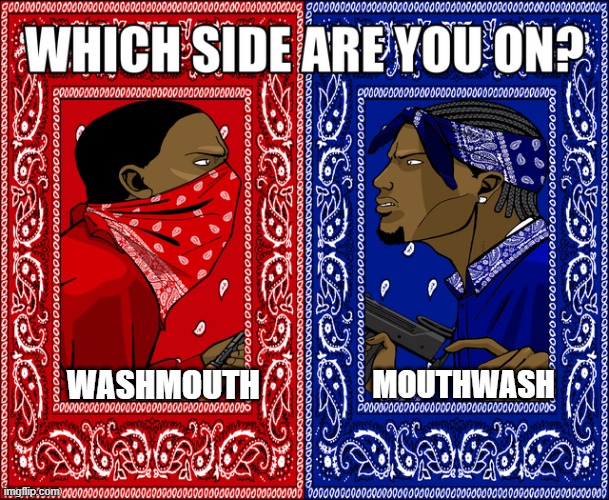 WHICH SIDE ARE YOU ON? | WASHMOUTH; MOUTHWASH | image tagged in which side are you on | made w/ Imgflip meme maker