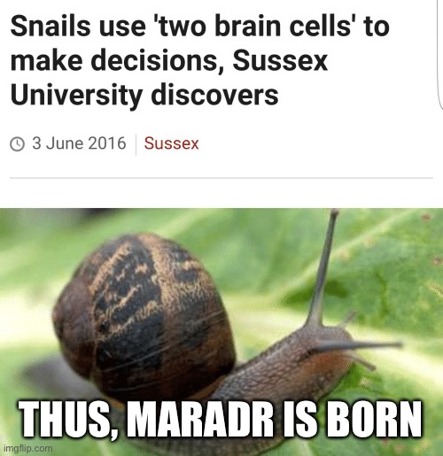 Snails Use Two Brain Cells | THUS, MARADR IS BORN | image tagged in snails use two brain cells | made w/ Imgflip meme maker