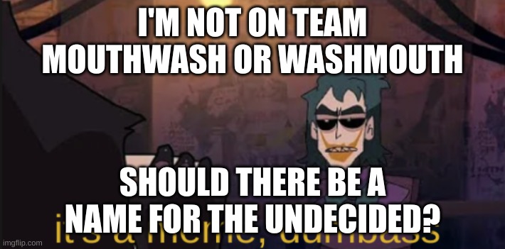 it's a meme, dumbass | I'M NOT ON TEAM MOUTHWASH OR WASHMOUTH; SHOULD THERE BE A NAME FOR THE UNDECIDED? | image tagged in it's a meme dumbass | made w/ Imgflip meme maker