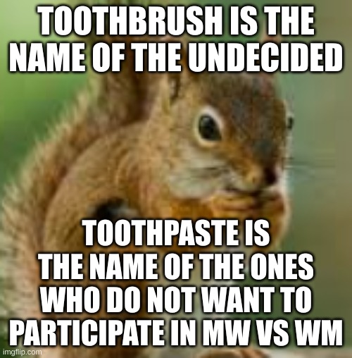 i'm toothpaste | TOOTHBRUSH IS THE NAME OF THE UNDECIDED; TOOTHPASTE IS THE NAME OF THE ONES WHO DO NOT WANT TO PARTICIPATE IN MW VS WM | image tagged in kdn jkefje | made w/ Imgflip meme maker