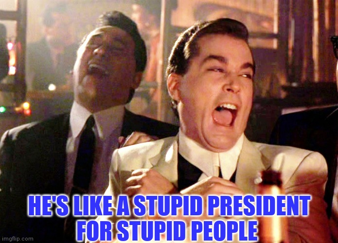 HE'S LIKE A STUPID PRESIDENT
FOR STUPID PEOPLE | made w/ Imgflip meme maker