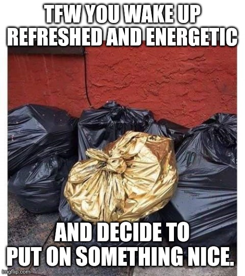 Feeling cute |  TFW YOU WAKE UP REFRESHED AND ENERGETIC; AND DECIDE TO PUT ON SOMETHING NICE. | image tagged in trash,gold,funny memes | made w/ Imgflip meme maker