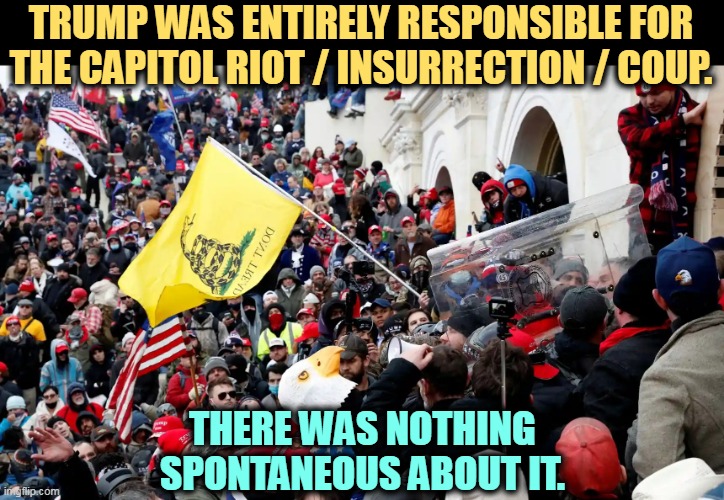 Trump-directed Capitol riot - insurrection and sedition | TRUMP WAS ENTIRELY RESPONSIBLE FOR THE CAPITOL RIOT / INSURRECTION / COUP. THERE WAS NOTHING SPONTANEOUS ABOUT IT. | image tagged in trump-directed capitol riot - insurrection and sedition,trump,failed,coup,riot,insurrection | made w/ Imgflip meme maker