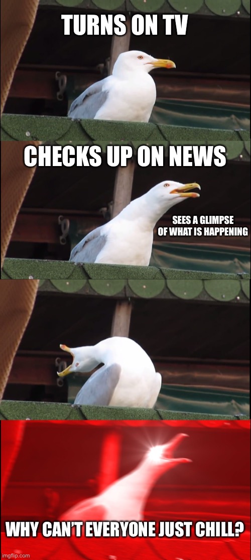 Inhaling Seagull | TURNS ON TV; CHECKS UP ON NEWS; SEES A GLIMPSE OF WHAT IS HAPPENING; WHY CAN’T EVERYONE JUST CHILL? | image tagged in memes,inhaling seagull | made w/ Imgflip meme maker