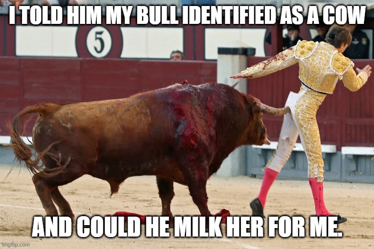 Trans bull | I TOLD HIM MY BULL IDENTIFIED AS A COW; AND COULD HE MILK HER FOR ME. | image tagged in pride month,transgender,pride | made w/ Imgflip meme maker