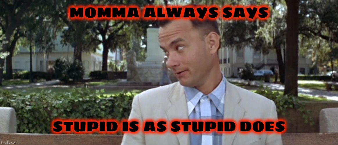 Forest Gump | MOMMA ALWAYS SAYS STUPID IS AS STUPID DOES | image tagged in forest gump | made w/ Imgflip meme maker
