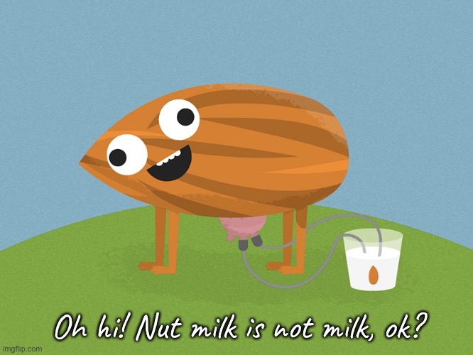 Oh hi! Nut milk is not milk, ok? | made w/ Imgflip meme maker