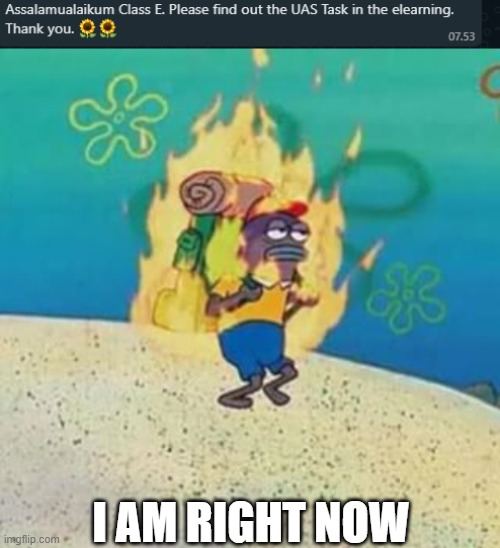I AM RIGHT NOW | image tagged in spongebob on fire | made w/ Imgflip meme maker
