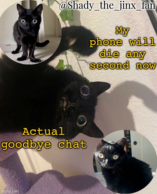 Surprised i managed to post tnhis in time | My phone will die any second now; Actual goodbye chat | image tagged in shady s jinx temp once agaun thanks ishowsun | made w/ Imgflip meme maker