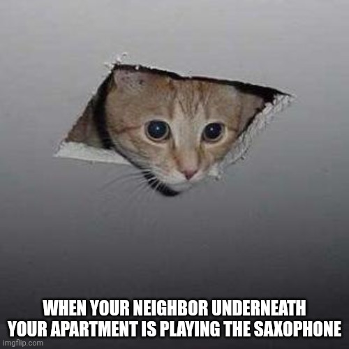 Ceiling Cat | WHEN YOUR NEIGHBOR UNDERNEATH YOUR APARTMENT IS PLAYING THE SAXOPHONE | image tagged in memes,ceiling cat | made w/ Imgflip meme maker