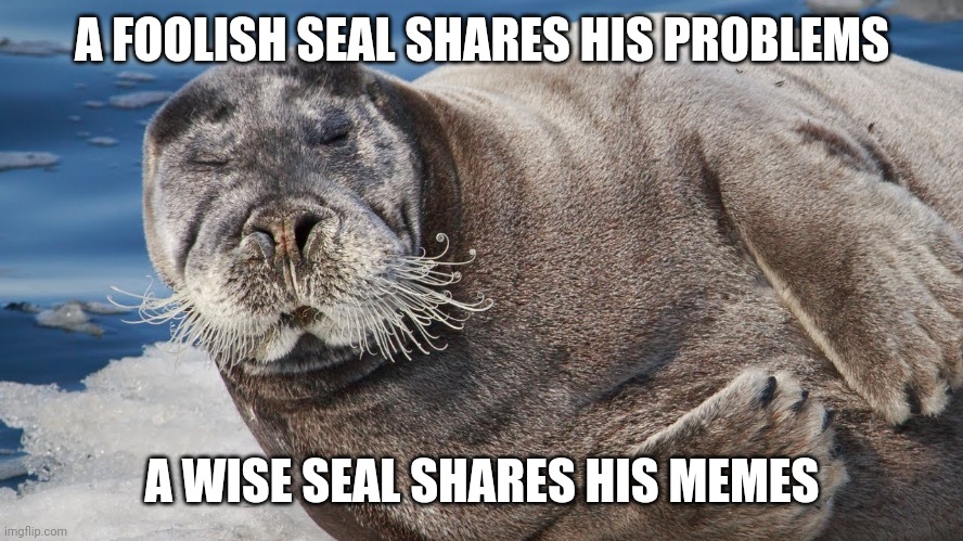 Wise seal | A FOOLISH SEAL SHARES HIS PROBLEMS; A WISE SEAL SHARES HIS MEMES | image tagged in wise,seal | made w/ Imgflip meme maker
