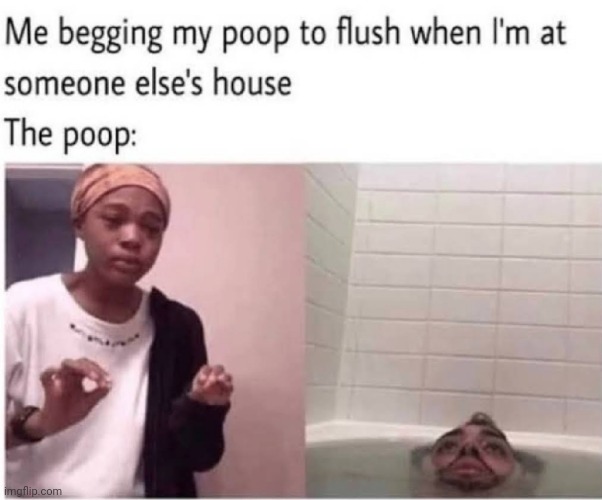 Plsss flush!! | image tagged in poop,flush,begging,house | made w/ Imgflip meme maker