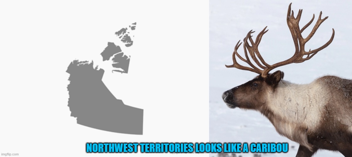 Might I suggest NWT change its name to the province of Great Caribou |  NORTHWEST TERRITORIES LOOKS LIKE A CARIBOU | image tagged in memes,geography,canada,totally looks like,animal | made w/ Imgflip meme maker