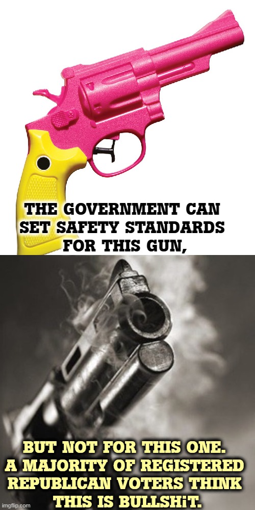 THE GOVERNMENT CAN 
SET SAFETY STANDARDS 
FOR THIS GUN, BUT NOT FOR THIS ONE. 
A MAJORITY OF REGISTERED 
REPUBLICAN VOTERS THINK 
THIS IS BULLSH¡T. | image tagged in safety,gun safety,second amendment,crazy,toys,weapons | made w/ Imgflip meme maker