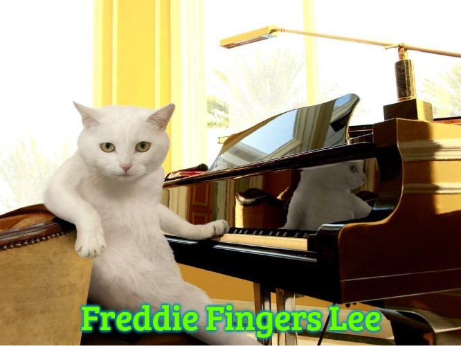 Cat Musician | Freddie Fingers Lee | image tagged in cat musician,slavic,freddie fingers lee,freddie fingaz,blacklabel jedih | made w/ Imgflip meme maker