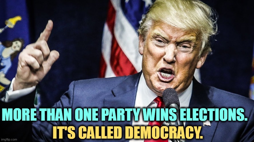 Trump angry | MORE THAN ONE PARTY WINS ELECTIONS. IT'S CALLED DEMOCRACY. | image tagged in trump angry,democrats,win,too,democracy | made w/ Imgflip meme maker