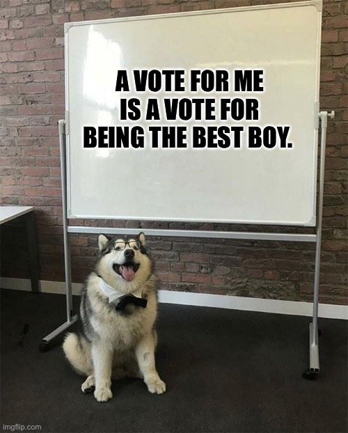 How to be a good boy | A VOTE FOR ME IS A VOTE FOR BEING THE BEST BOY. | image tagged in how to be a good boy | made w/ Imgflip meme maker