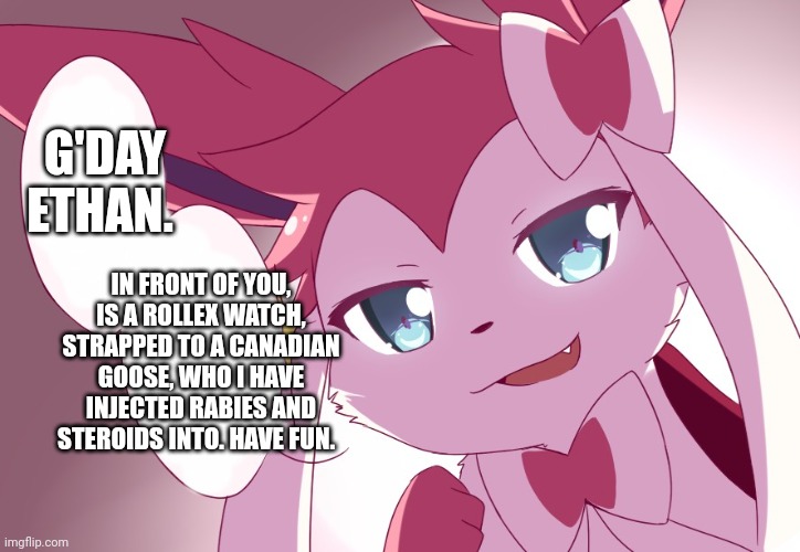 Sylveon | G'DAY ETHAN. IN FRONT OF YOU, IS A ROLLEX WATCH, STRAPPED TO A CANADIAN GOOSE, WHO I HAVE INJECTED RABIES AND STEROIDS INTO. HAVE FUN. | image tagged in sylveon | made w/ Imgflip meme maker