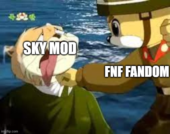 When sky mod exist | SKY MOD; FNF FANDOM | image tagged in friday night funkin,funny | made w/ Imgflip meme maker