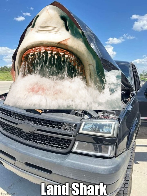 Land shark | Land Shark | image tagged in shark,hood,mouth,big mouth,smash mouth | made w/ Imgflip meme maker